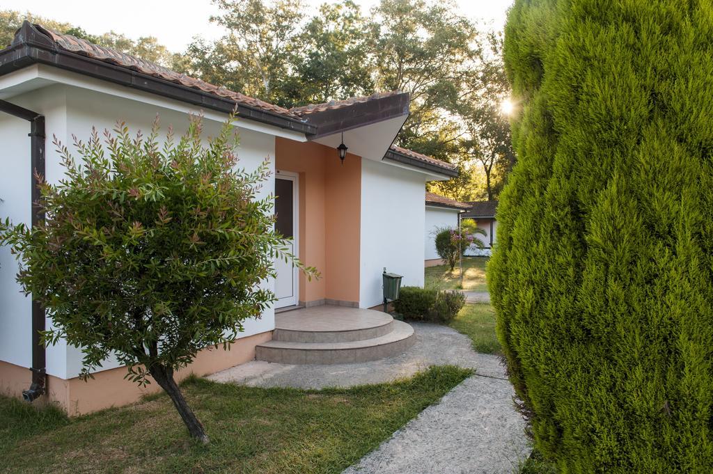 Hotel Htp Velika Plaza Ulcinj Chambre photo